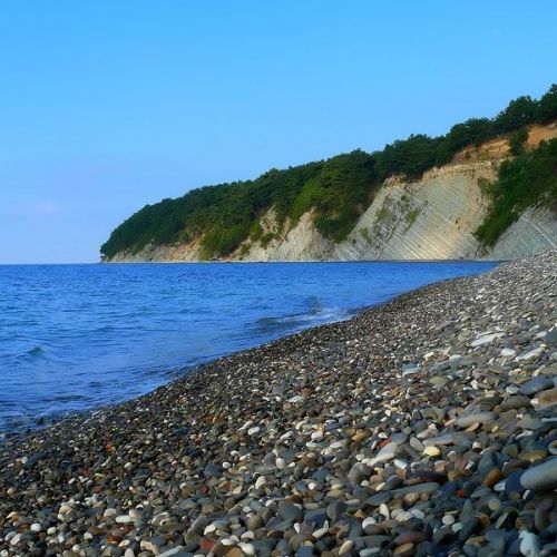 Пансионат МГУ "Буревестник"